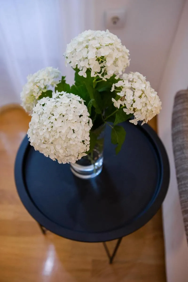 Image 6 of Apartman Maša