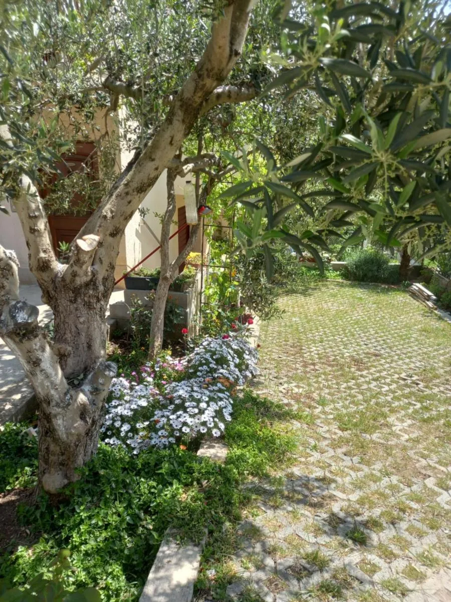 Image 5 of Apartments Sunag