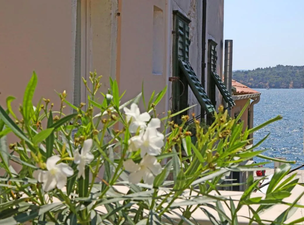 Image of Swan City Apartment & Room