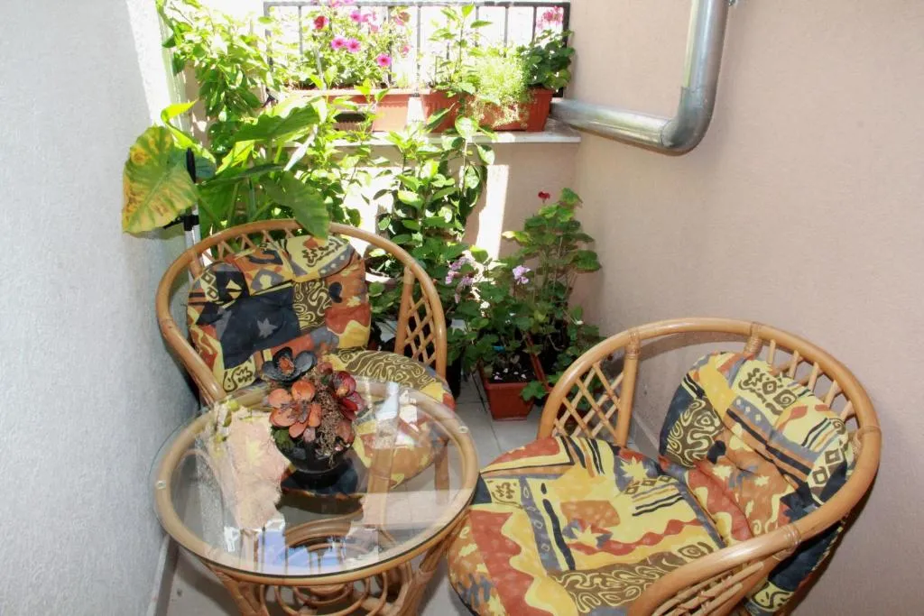 Image of Apartment Bucevic