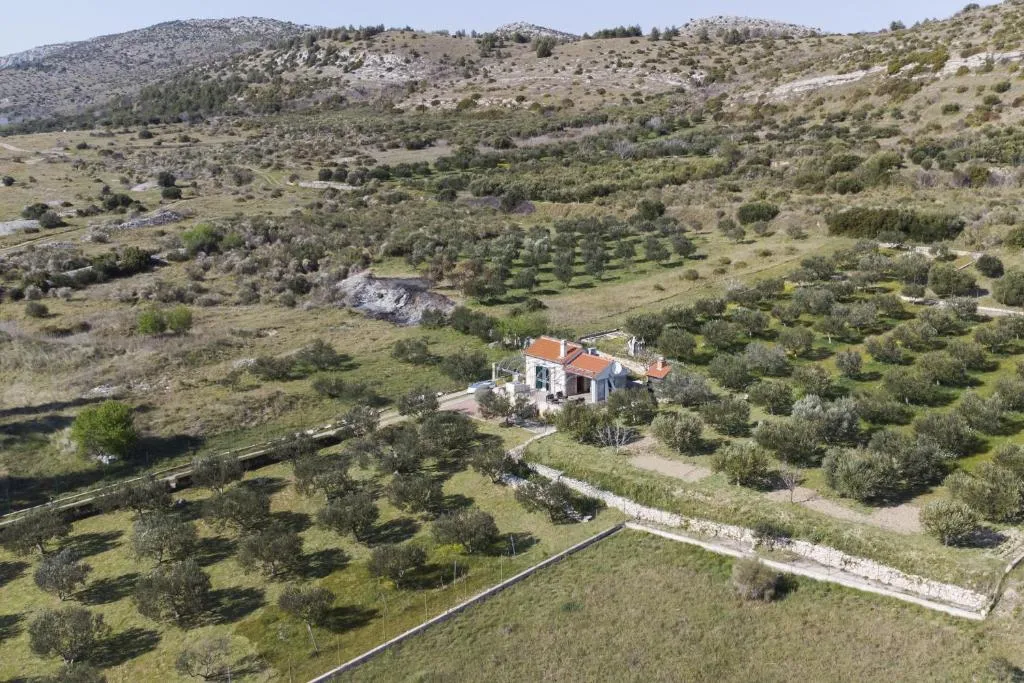 Image of Holiday home Olive