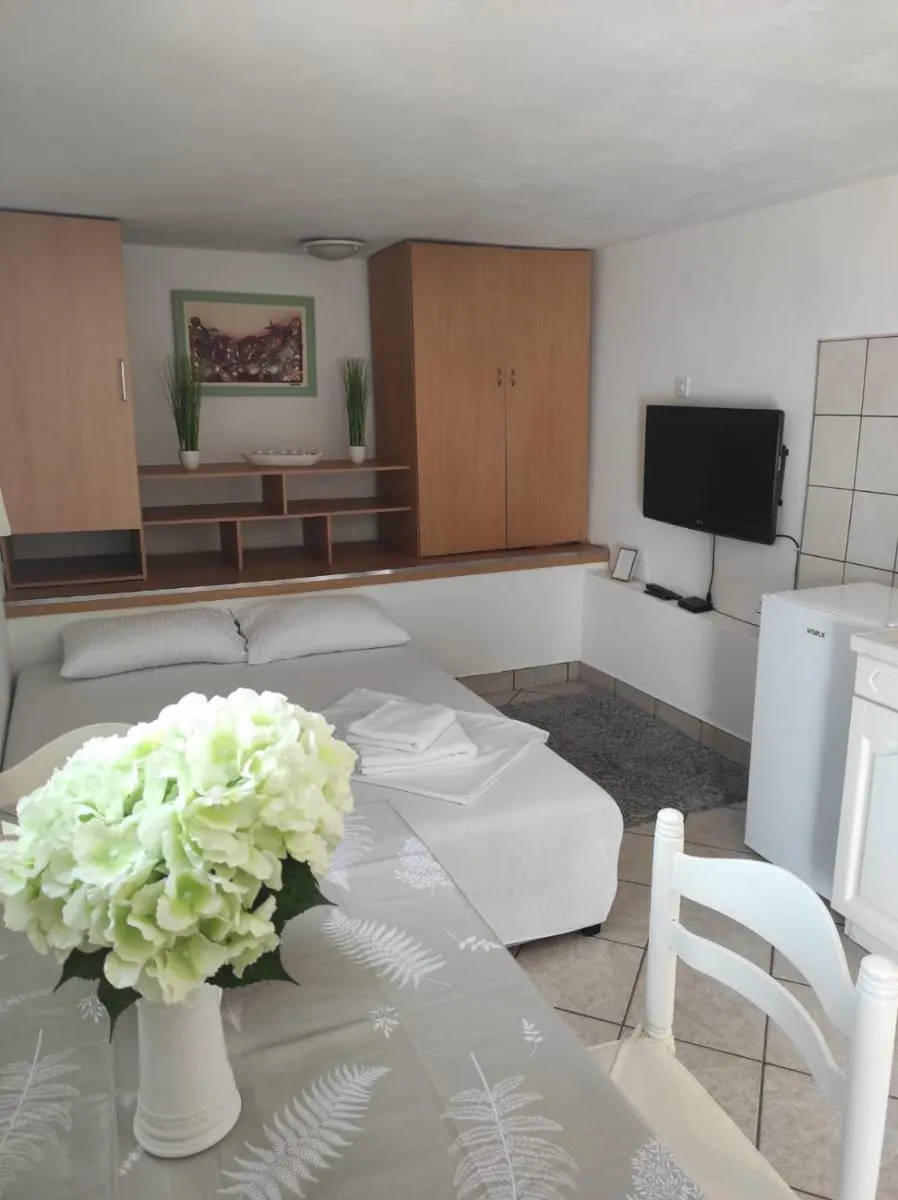 Image 6 of Studio Apartment Petrov