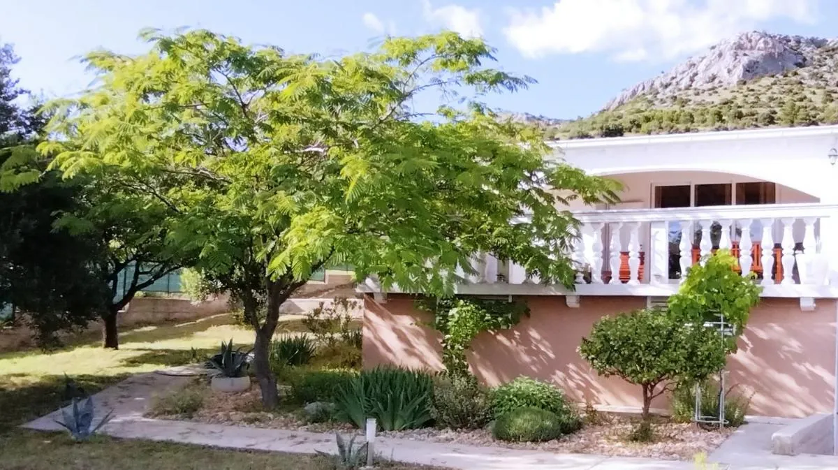 Image 4 of The Garden of Elaïs